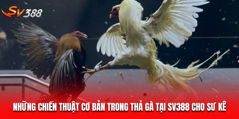 Những chiến thuật cơ bản trong thả gà tại SV388